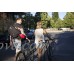 Kryptonite Messenger Mini Heavy Duty Bicycle U Lock Bike Lock  3.75 x 6.5-Inch - B00NGDSUP0